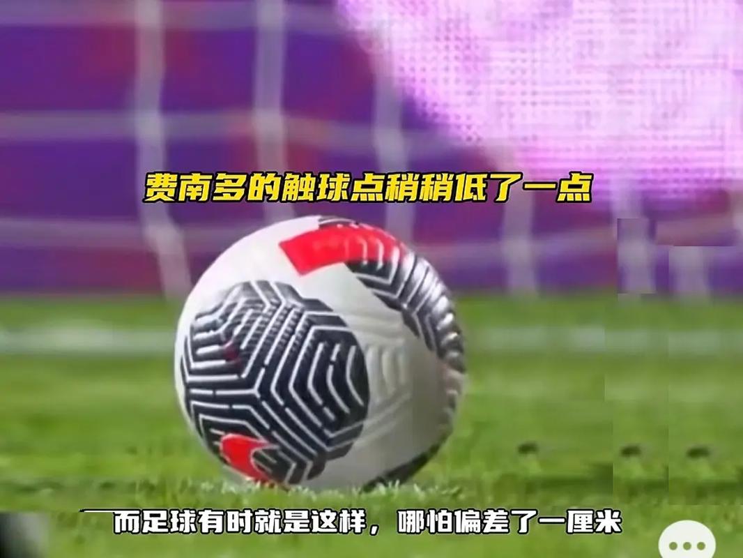 他们在